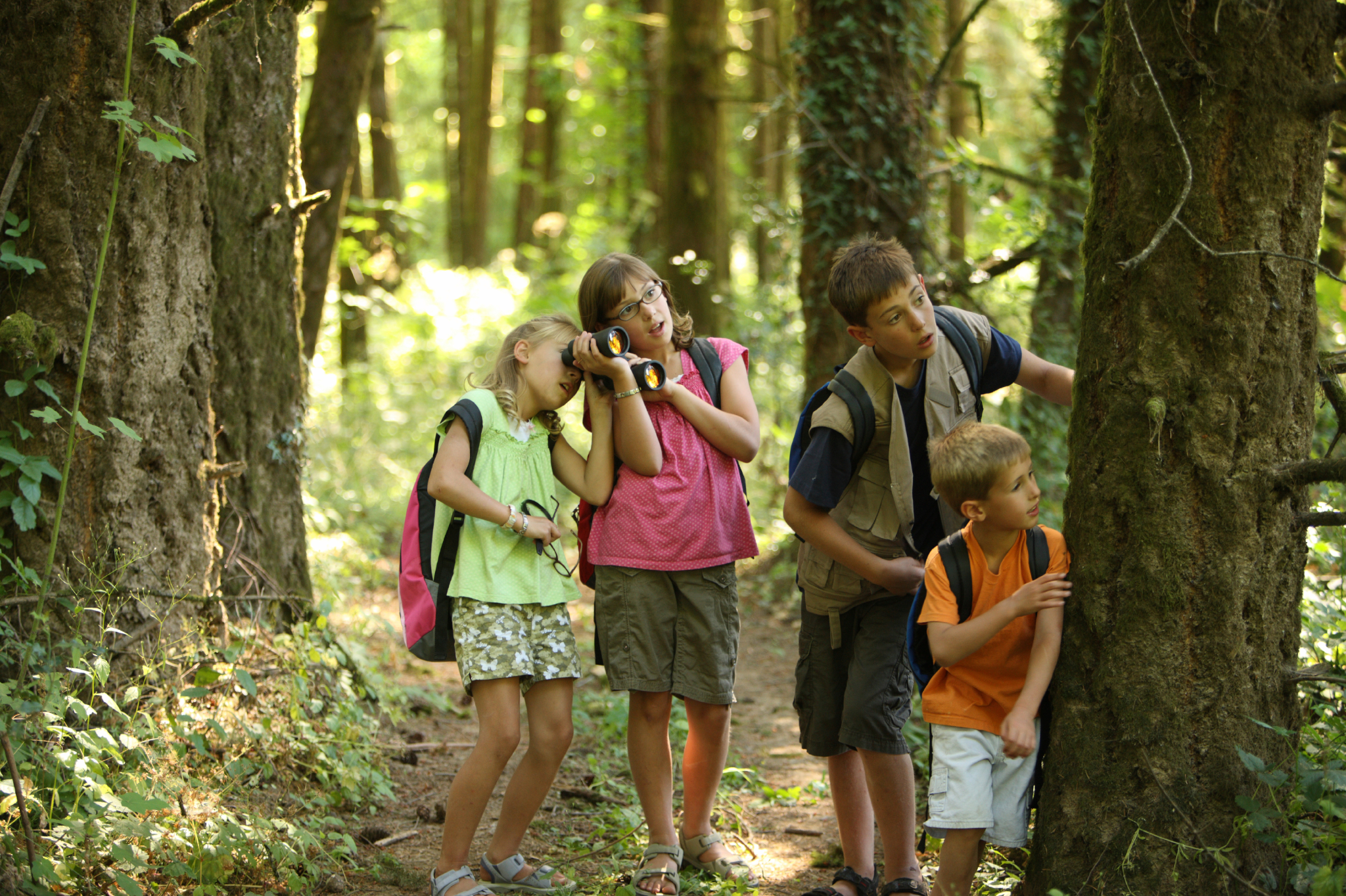 Young people exploring woodland